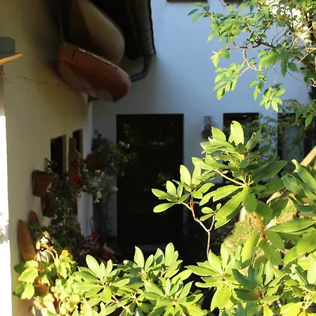 Familie Schaefer シュマレンベルク